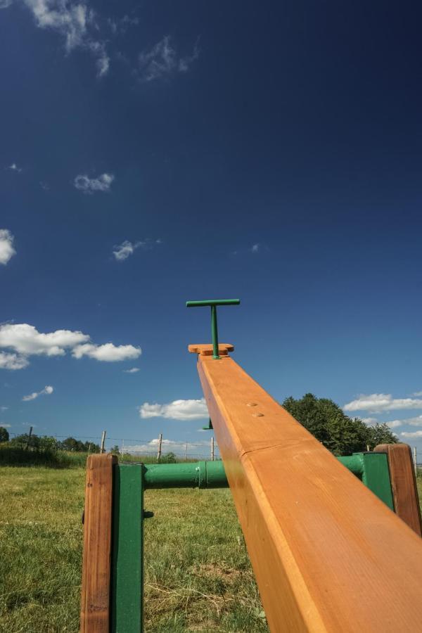 Vila Durmitor Nest Krstajic Žabljak エクステリア 写真