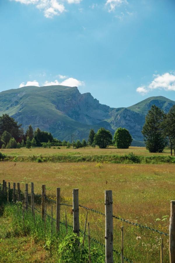 Vila Durmitor Nest Krstajic Žabljak エクステリア 写真