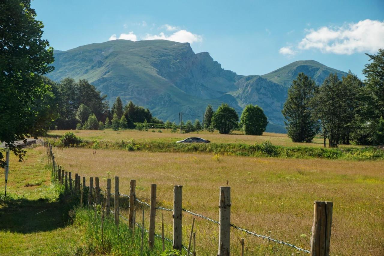 Vila Durmitor Nest Krstajic Žabljak エクステリア 写真