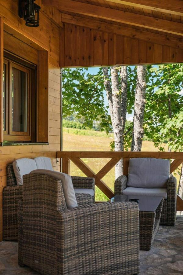 Vila Durmitor Nest Krstajic Žabljak エクステリア 写真