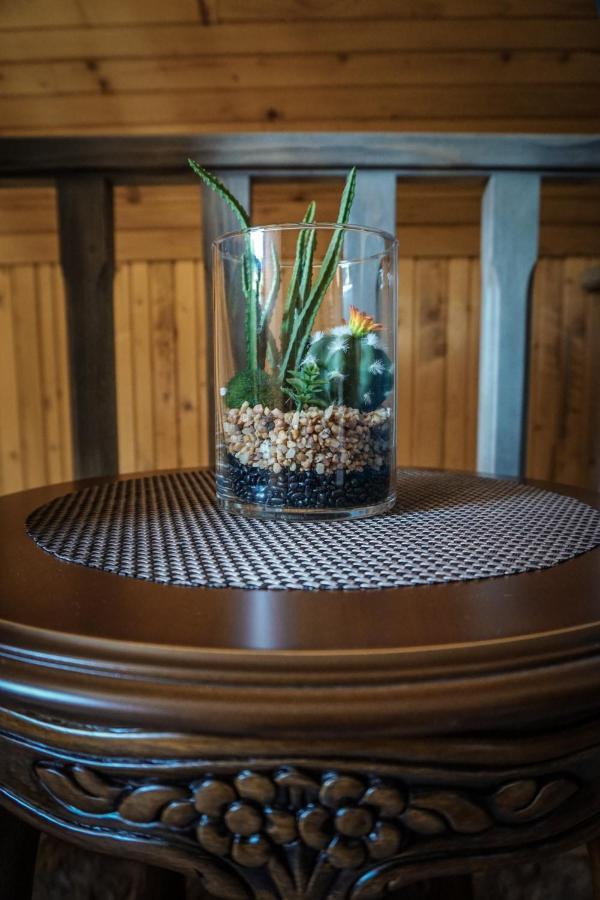 Vila Durmitor Nest Krstajic Žabljak エクステリア 写真