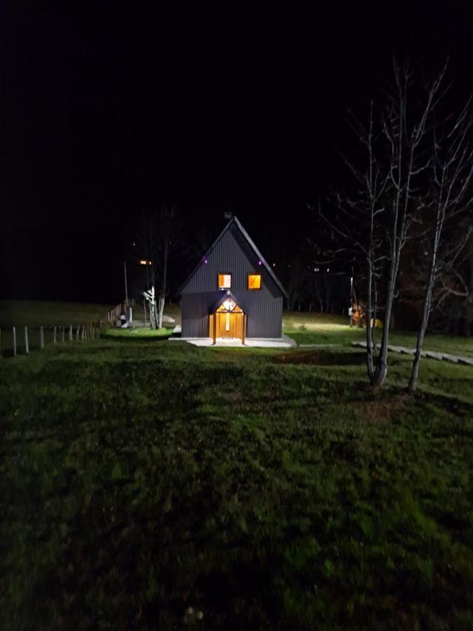Vila Durmitor Nest Krstajic Žabljak エクステリア 写真