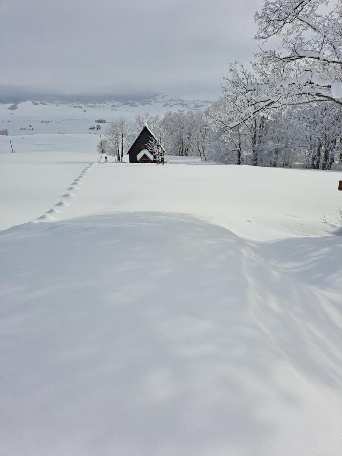 Vila Durmitor Nest Krstajic Žabljak エクステリア 写真