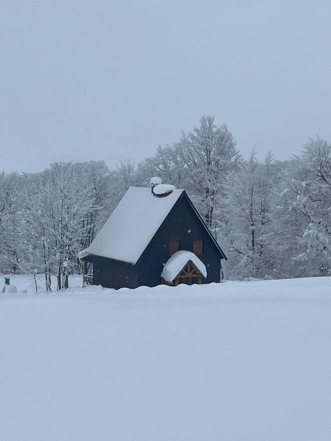 Vila Durmitor Nest Krstajic Žabljak エクステリア 写真
